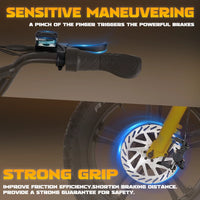 Mangosteen FT03 Electric Bike