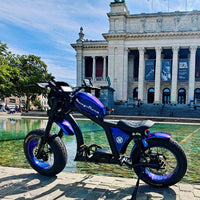 Mangosteen FT02Max Chopper EBike