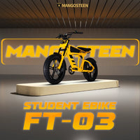 Mangosteen FT03 Electric Bike
