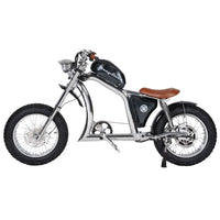 Mangosteen FT02 Electroplated Ebike