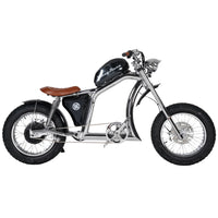 Mangosteen FT02 Electroplated Ebike