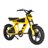 Mangosteen FT03 Electric Bike