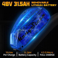 Mangosteen FT02Max Chopper EBike