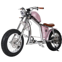 Mangosteen FT02 Electroplated Ebike