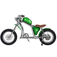 Mangosteen FT02 Electroplated Ebike