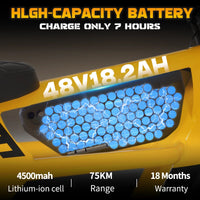 Mangosteen FT03 Electric Bike