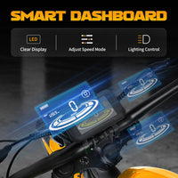 Mangosteen FT02Max Chopper EBike