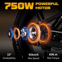 Mangosteen FT03 Electric Bike