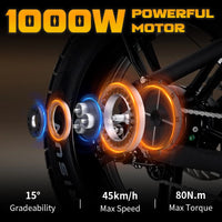 Mangosteen FT03 Electric Bike