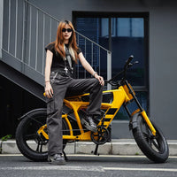 Mangosteen FT03 Electric Bike