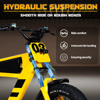 Mangosteen FT03 Electric Bike