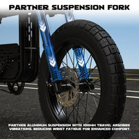 Mangosteen FT01 E Bike for Adults