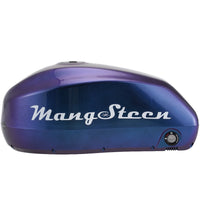 Mangosteen E-bike battery for FT02/FT02mini