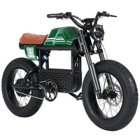 Mangosteen FT01 E Bike for Adults