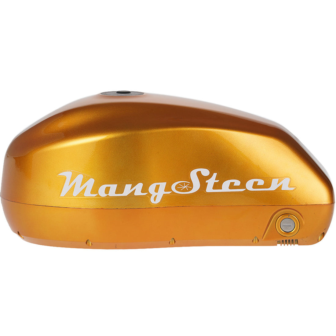 Mangosteen E-bike battery