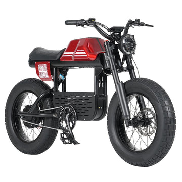 Mangosteen FT01 E Bike for Adults