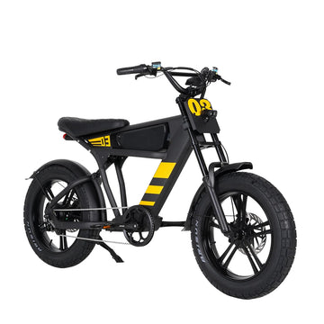 Mangosteen FT03 Electric Bike