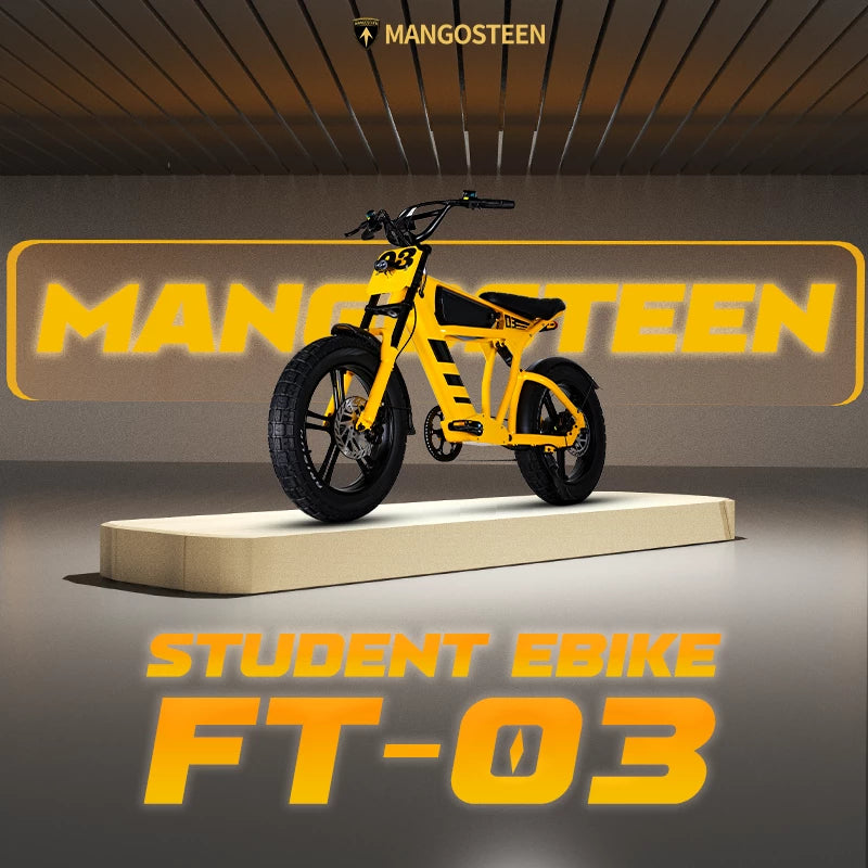 Mangosteen FT03 Electric Bike