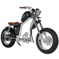 Mangosteen FT02 Electroplated Ebike