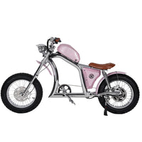 Mangosteen FT02 Electroplated Ebike