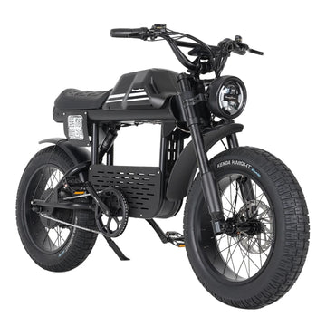 Mangosteen FT01 E Bike for Adults