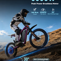 FT07 Electric Dirt Bike
