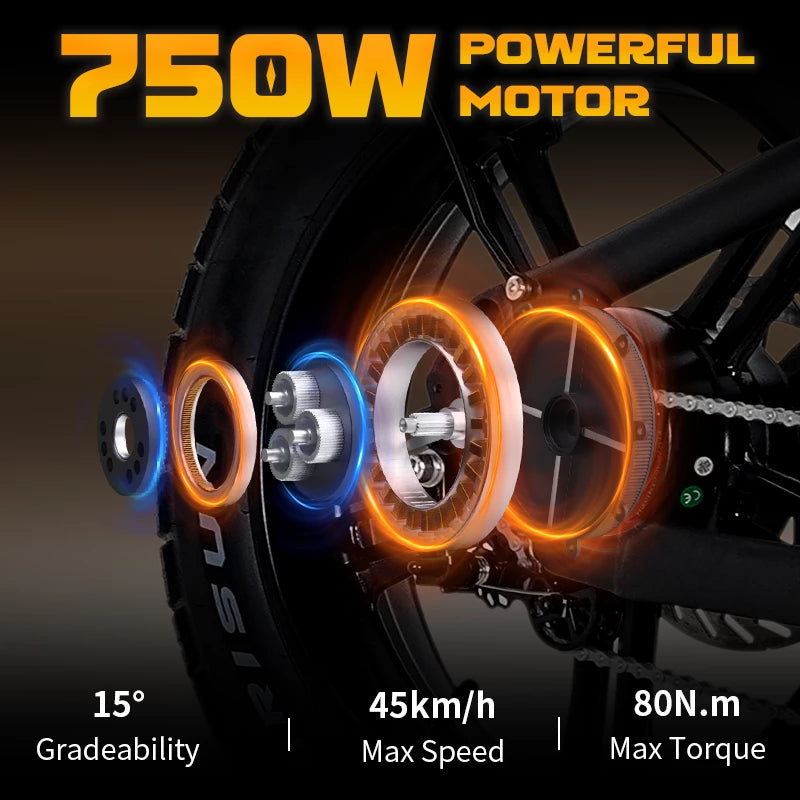 Mangosteen FT03 Electric Bike