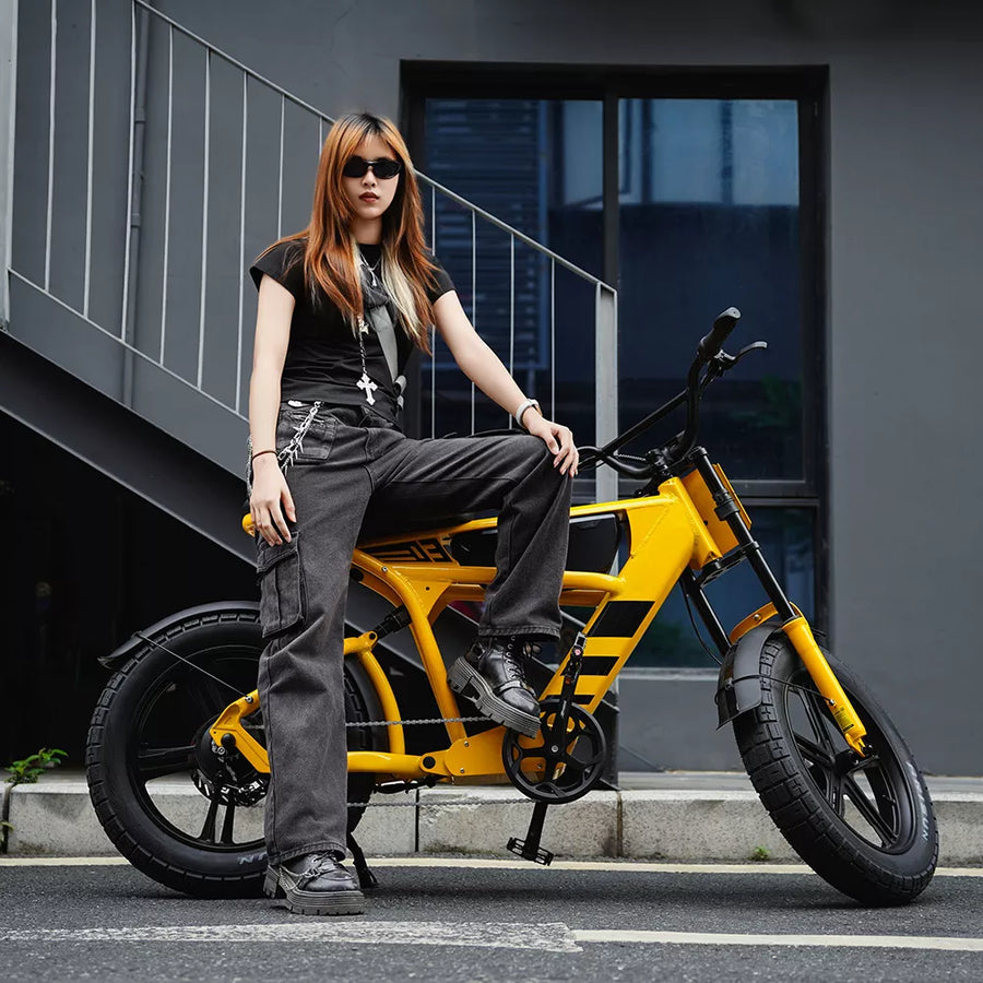 Mangosteen FT03 Electric Bike