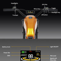 Mangosteen FT02Max Chopper EBike